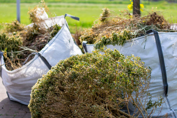 Best Electronics Removal Services  in Fruitland, NC